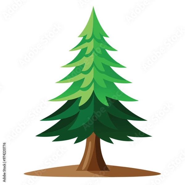 Obraz pine tree isolated