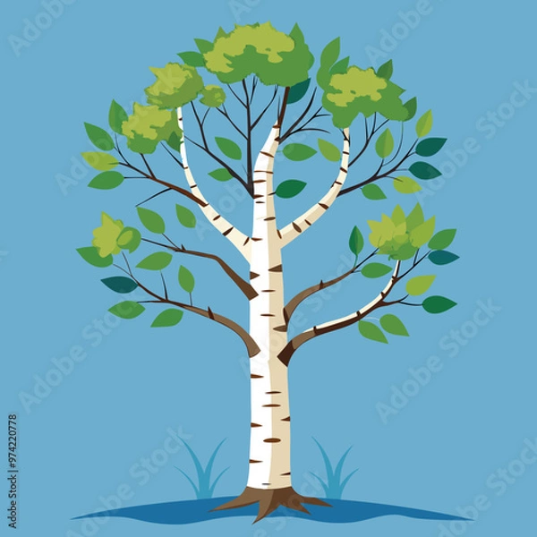 Obraz tree with leaves birch