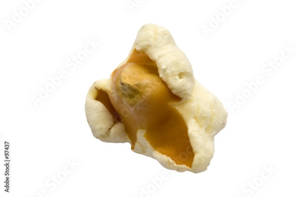 Obraz isolated semi-popped popcorn kernel
