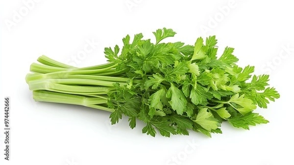 Fototapeta Fresh green celery with vibrant leaves, perfect for healthy cooking and garnishing plates with a crunchy texture.