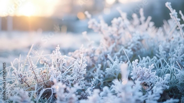 Fototapeta warm day to a sudden frost with icy conditions forming on surfaces and a chill settling into the air.