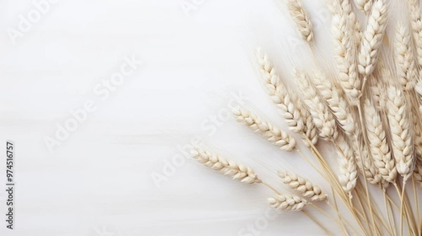 Fototapeta subtle white grain background