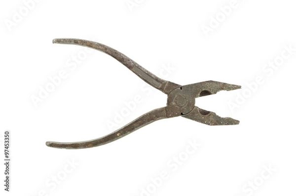 Obraz old combined pliers