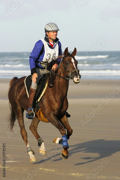 Obraz Reiten am Strand