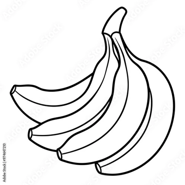 Fototapeta various bananas outline coloring book page line art drawing