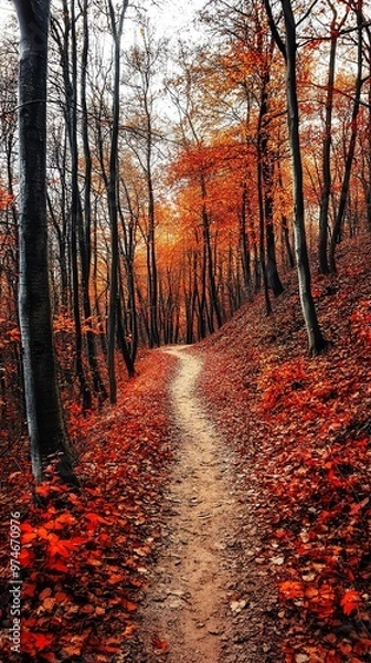 Fototapeta Serene autumn path winding through a forest filled with vibrant red and orange leaves, inviting exploration and tranquility.