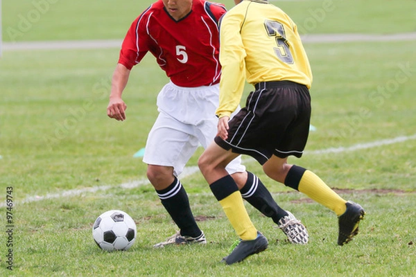 Fototapeta サッカー　フットボール