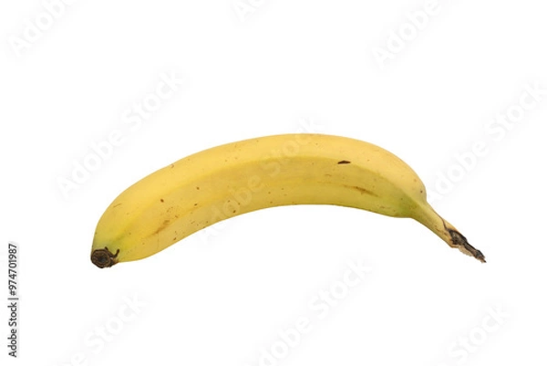 Obraz Bananas