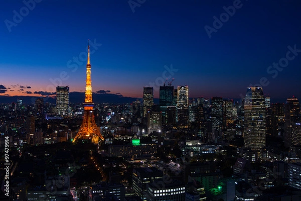 Fototapeta Panoramic view at dusk in Tokyo with Tokyo tower