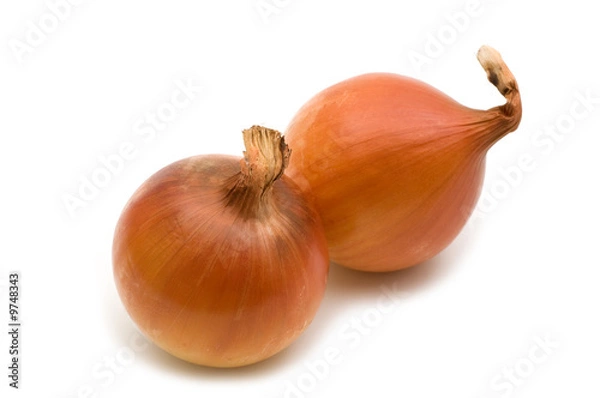 Obraz two fresh onions on white background