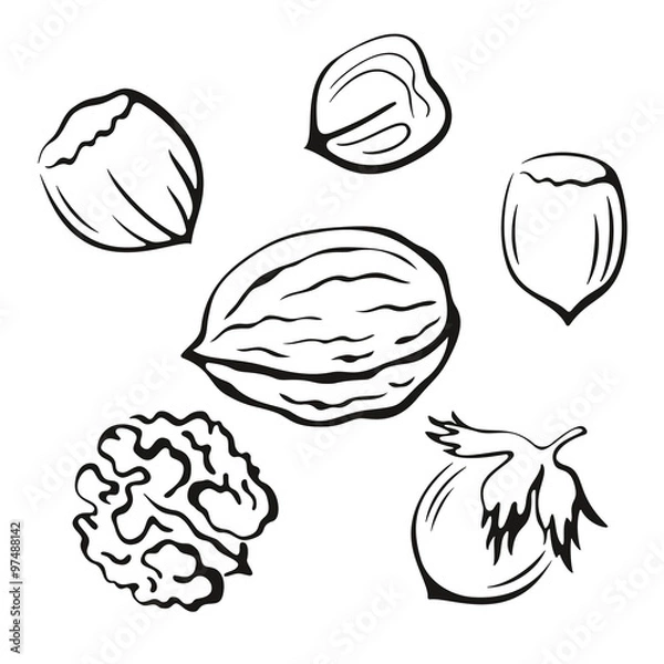 Fototapeta Nuts Black Pictograms