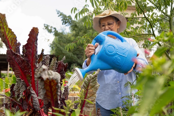 Obraz A woman is watering plants in a garden. She is wearing a straw hat and a blue watering can