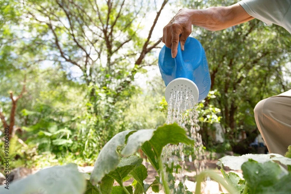 Obraz A man is watering a plant with a blue watering can. The scene is peaceful and serene, with the man taking care of the plant in a natural setting