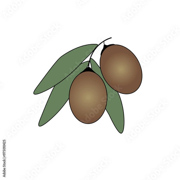 Obraz olives with leaves