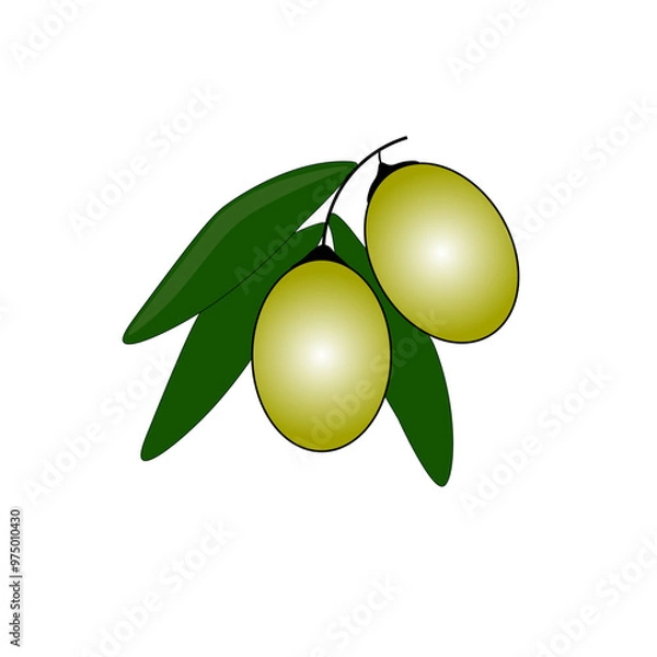 Obraz green olives with leaves