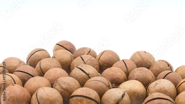 Obraz Macadamia nuts on a white background