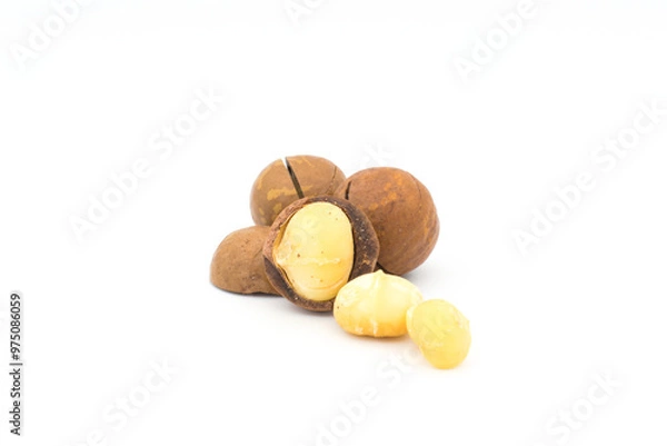 Obraz Macadamia nuts on a white background
