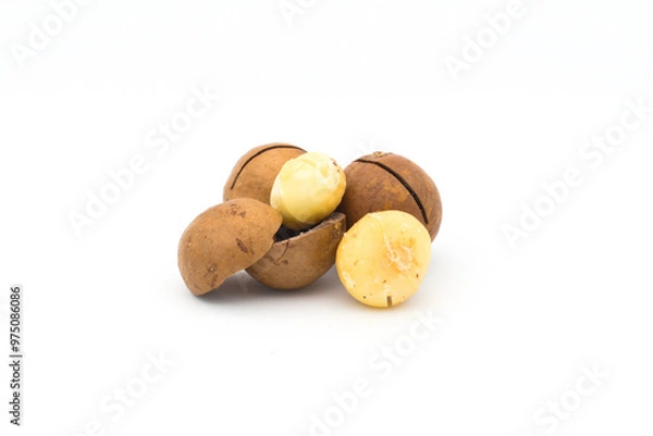 Obraz Macadamia nuts on a white background
