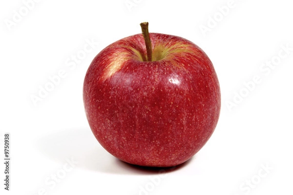 Fototapeta red apple isolated on white