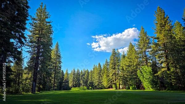 Obraz Golf course path in lake tahoe
