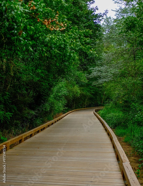 Fototapeta Scenes Along the Greeway Walking Trail in Forsyth County