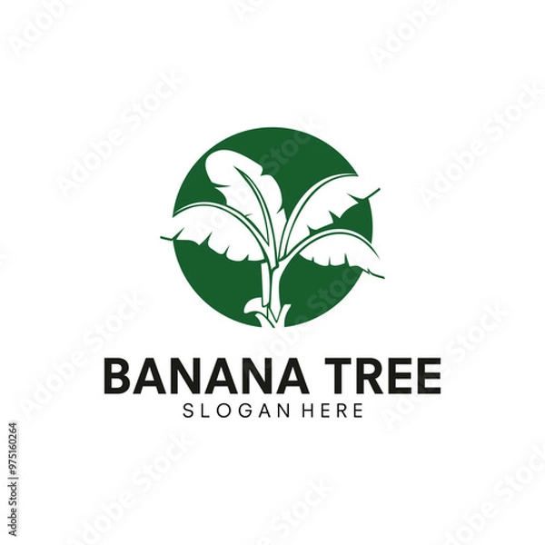 Fototapeta vector banana tree with vintage style logo template icon illustration design