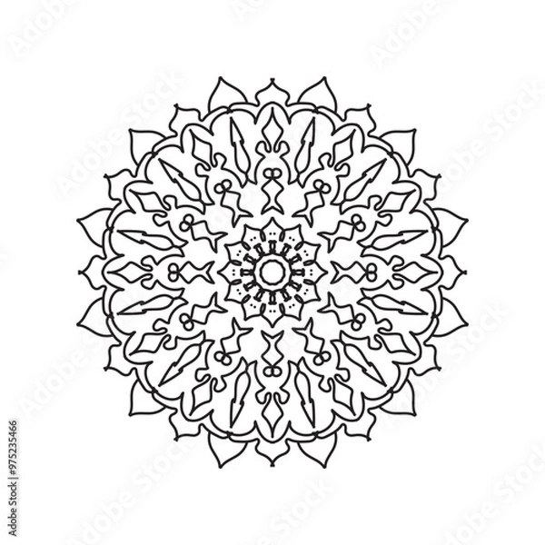 Obraz Mandala vector element round ornament decoration.i