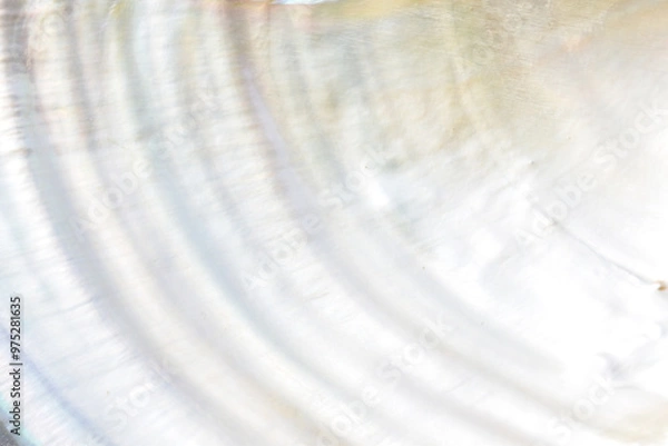 Fototapeta Abstract white pearl shell background texture