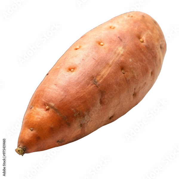 Obraz Fresh sweet potato isolated on transparent background