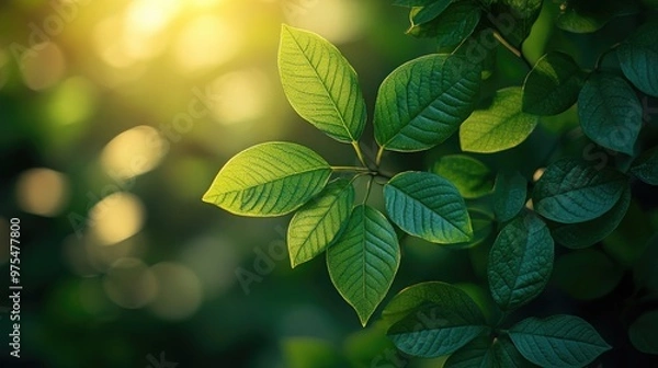 Obraz Captivating Blurry Green Foliage with Sunlight Filtering Through for Nature and Outdoor Themes