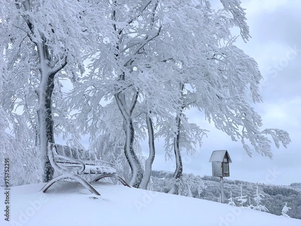 Obraz Samotna ławka