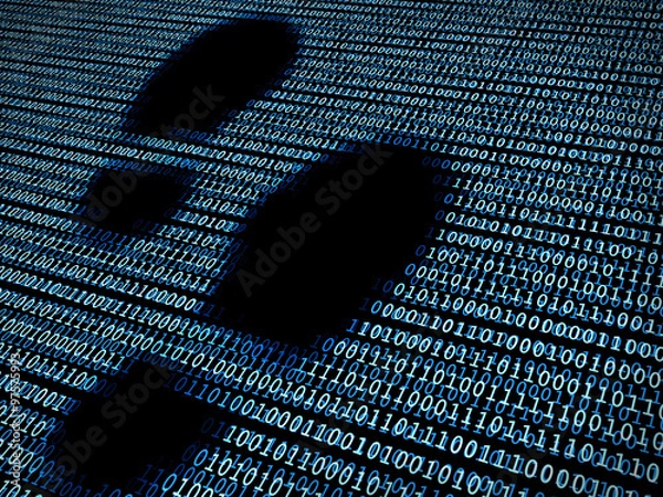 Fototapeta Footprint in digital background / Concept of digital footprint