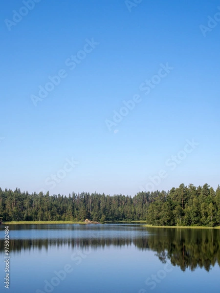 Fototapeta forest lake with moon in sky