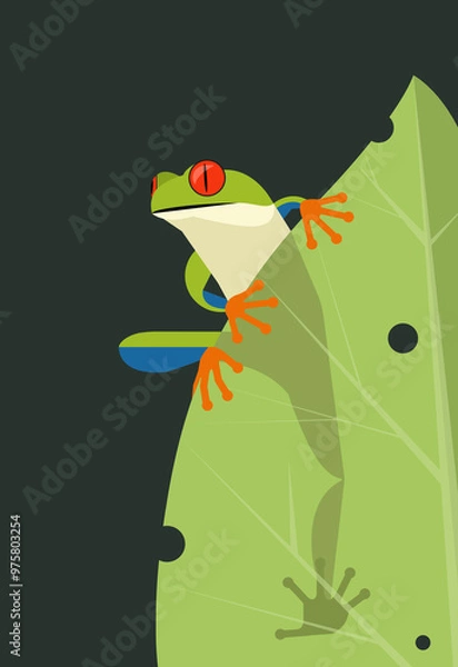 Fototapeta Frog sits on a leaf