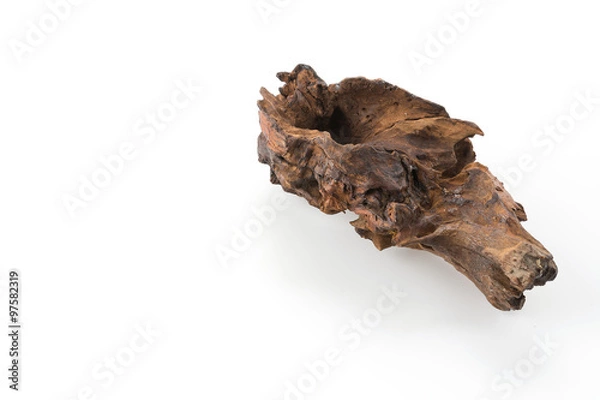 Fototapeta beautiful log