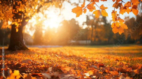 Obraz “Orange fall leaves in a park, illuminated by warm sunlight, creating a vibrant and serene autumn natural background.”