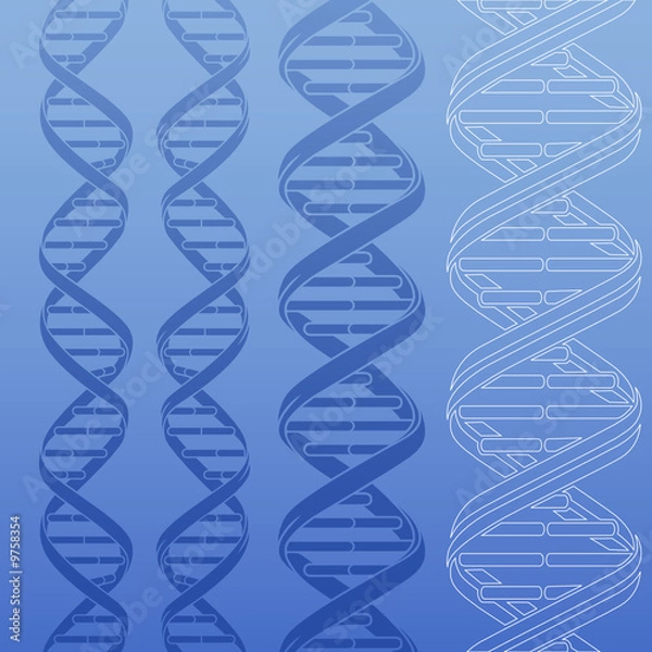 Fototapeta DNA strands