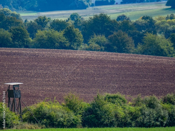 Obraz Hoch und Jägersitz im Feld