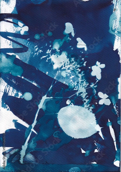 Fototapeta Cyanotype blueprint abstract with hydrangea from my garden