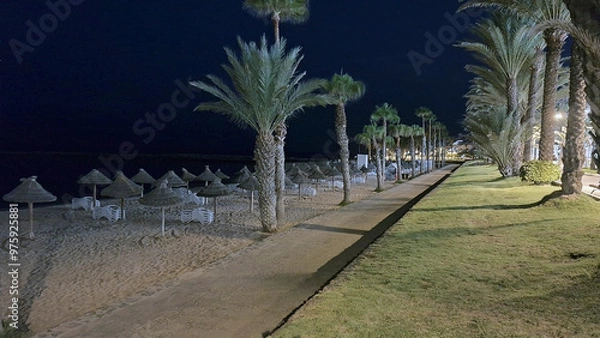 Obraz Tree-lined esplanade, Playa del Camison in Los Cristianos at night, Tenerife, Canary Islands, Spain, Europe.