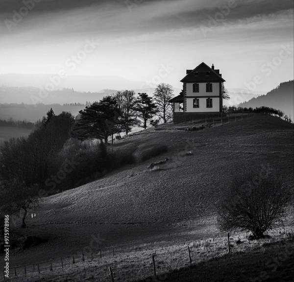 Fototapeta At dusk amidst the landscape and trees, you can enjoy the full view of a lonely romantic place. In black and white