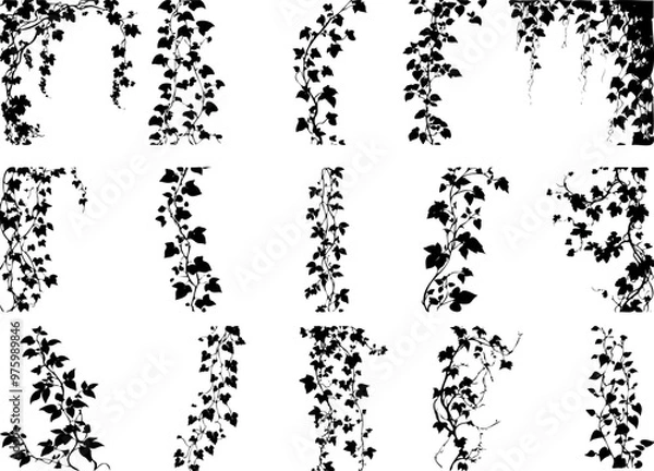 Obraz Black and White Decorative Climbing Vines Silhouette Art