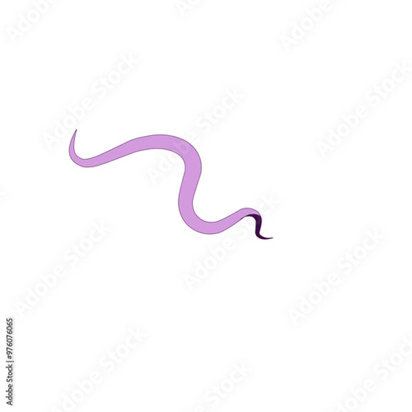 Obraz Traponema Palladium Bacteria 