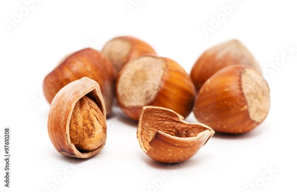 Obraz Hazelnuts on white background