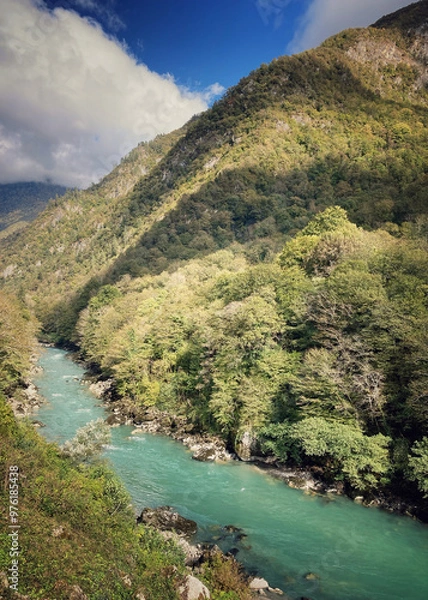 Obraz river in the mountains