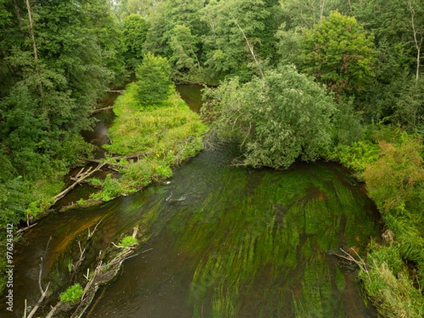 Fototapeta Wild river in the park