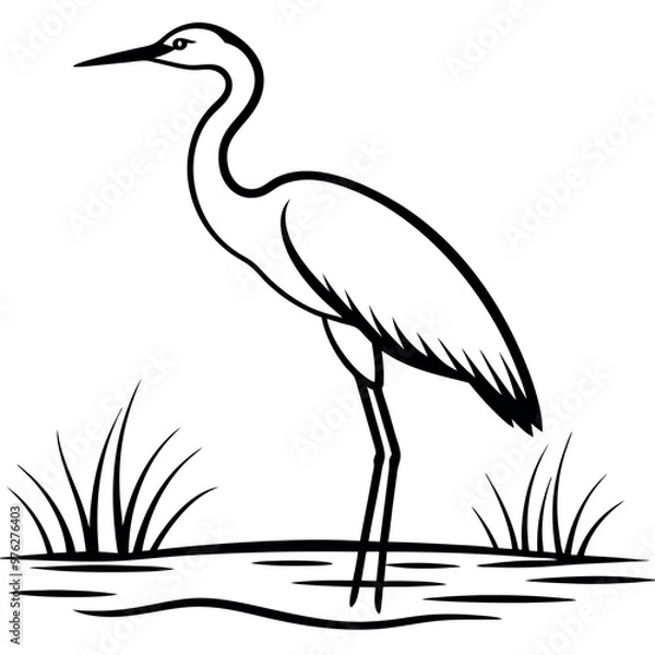 Fototapeta a heron standing on the edge of a body of water. The heron is facing towards the right side of the image, with its long neck and legs extended