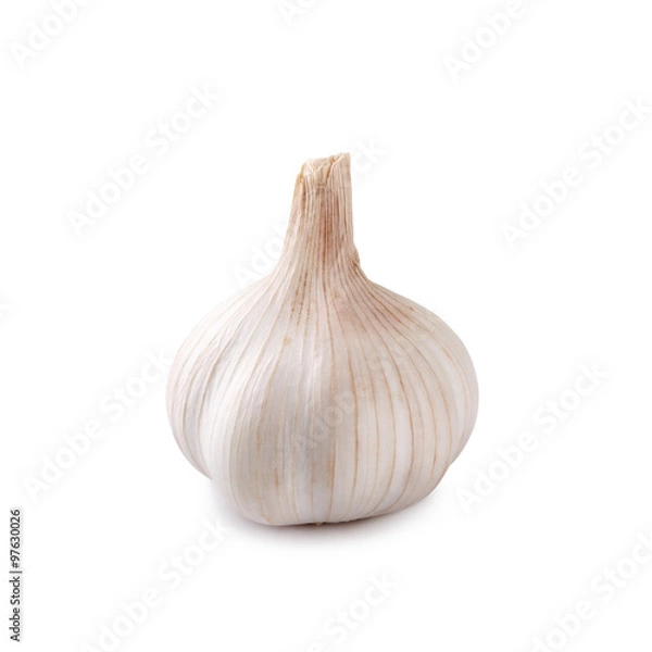 Obraz Świeży czosnek na białym tle