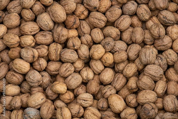Obraz multitude de noix