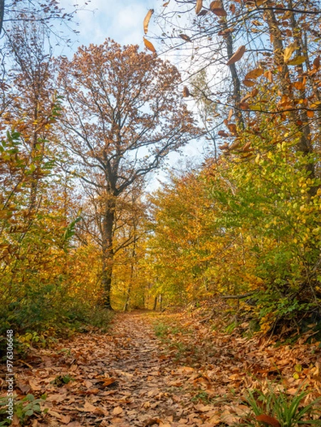 Obraz paysage d'automne